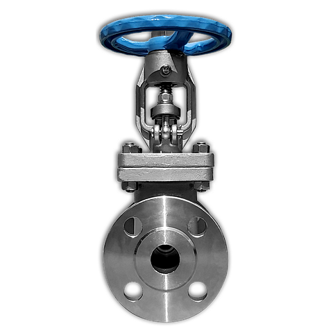 VALVULA COMPUERTA BRIDADA 150lbs